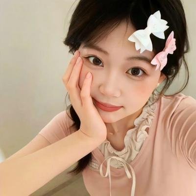狮子护卫队第一季