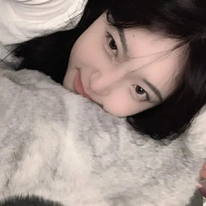 美洛耶塔的闪亮音乐会